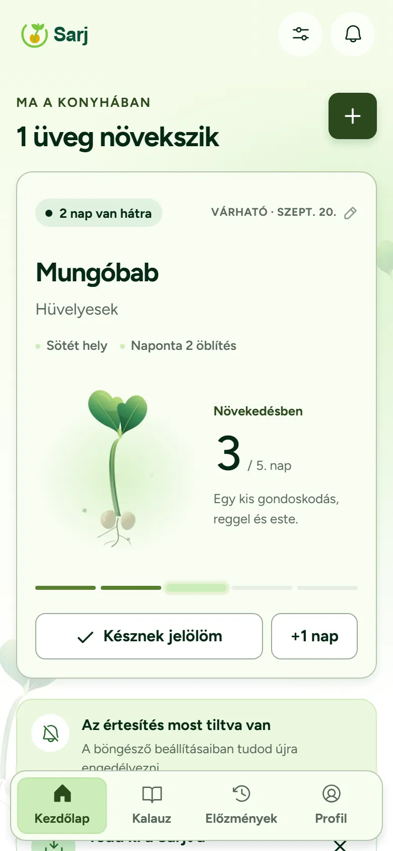 The same home screen on day 3 of 5: fresher green tones and a seedling with its first leaves.
