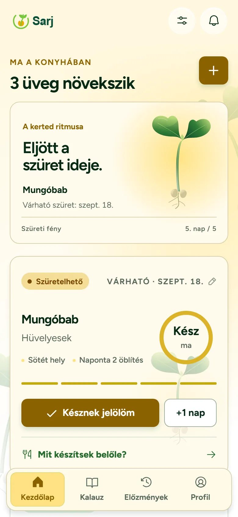 Home screen on harvest day: the background has warmed to harvest gold, the mung bean card reads ready today, with a gold Mark as done button.